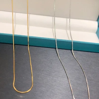 Simple Sliver  Link Necklace
